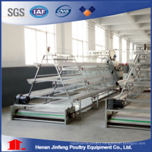 a Type Poultry Equipment Frame Chicken Cage for Farm Use